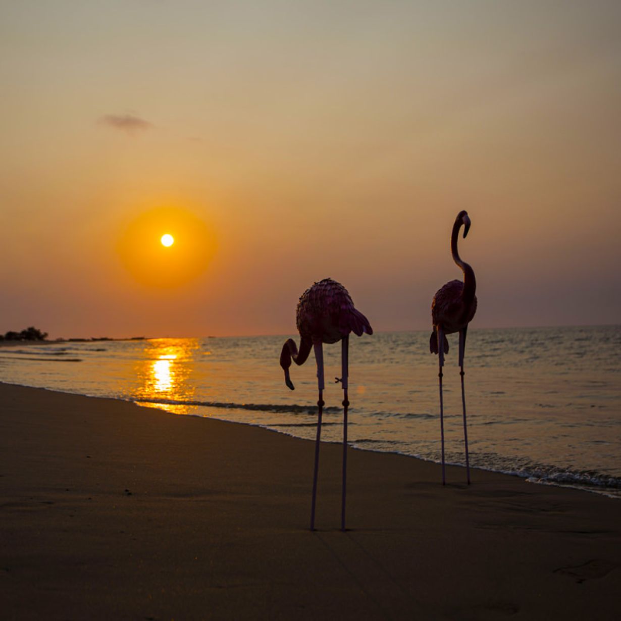 Pôr do sol no Flamingo Bay Resort